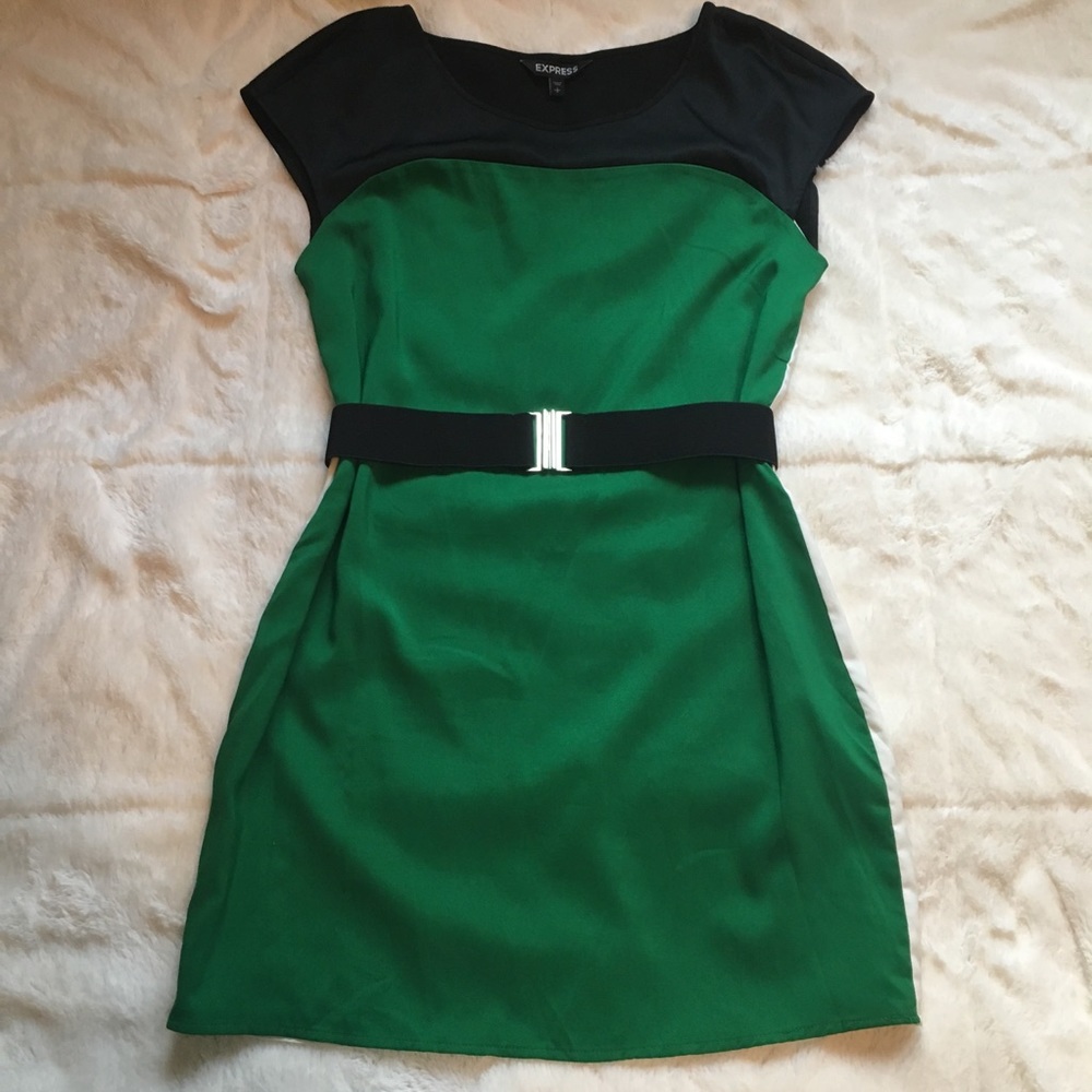 Express Dress - Picture 3 of 10